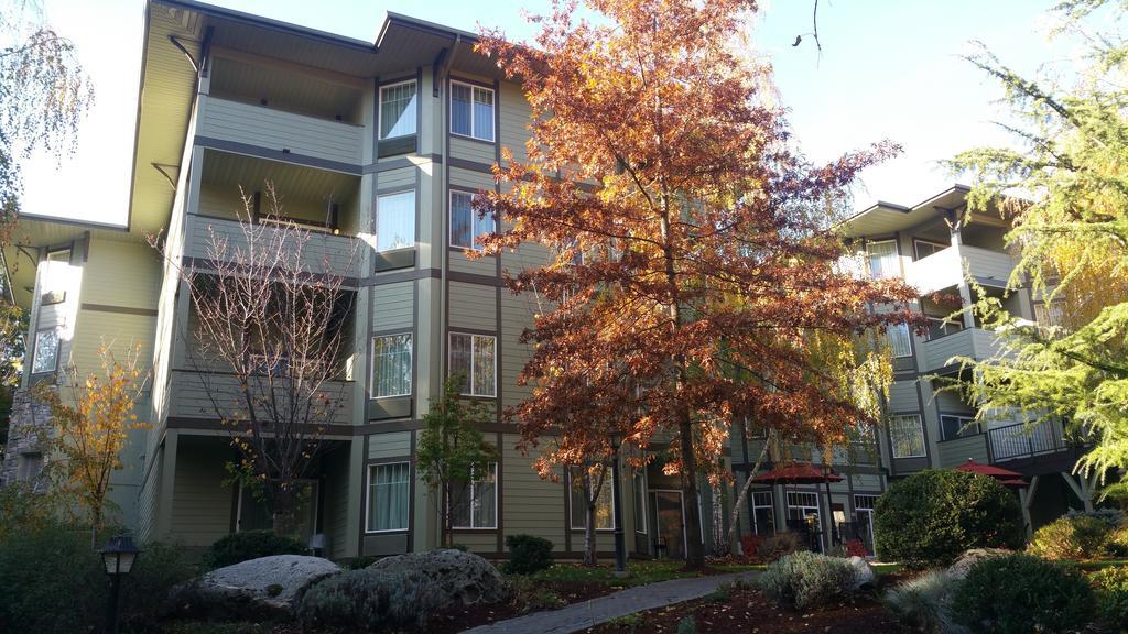Plaza Inn & Suites At Ashland Creek Exterior foto